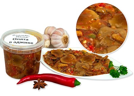 Spasibo Mama Stockschwämchen in Adgika, 350g