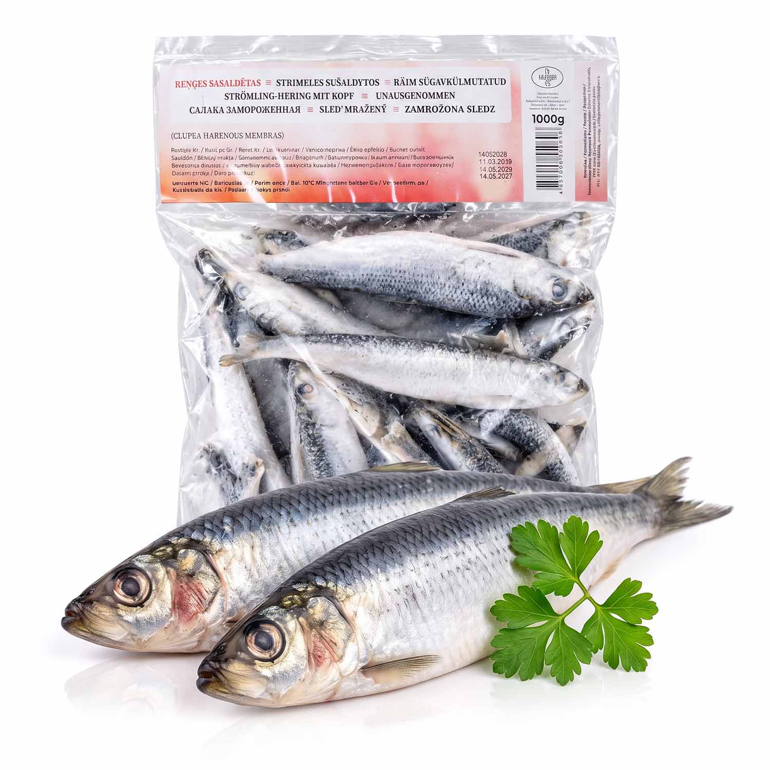 Strömling-Hering mit Kopf, unausgenommen (TK, 1 kg)