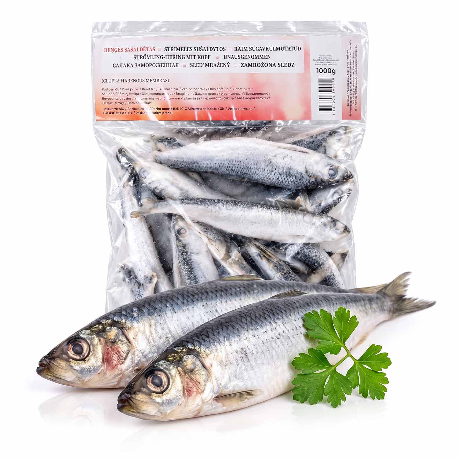 Strömling-Hering mit Kopf, unausgenommen (TK, 1 kg)