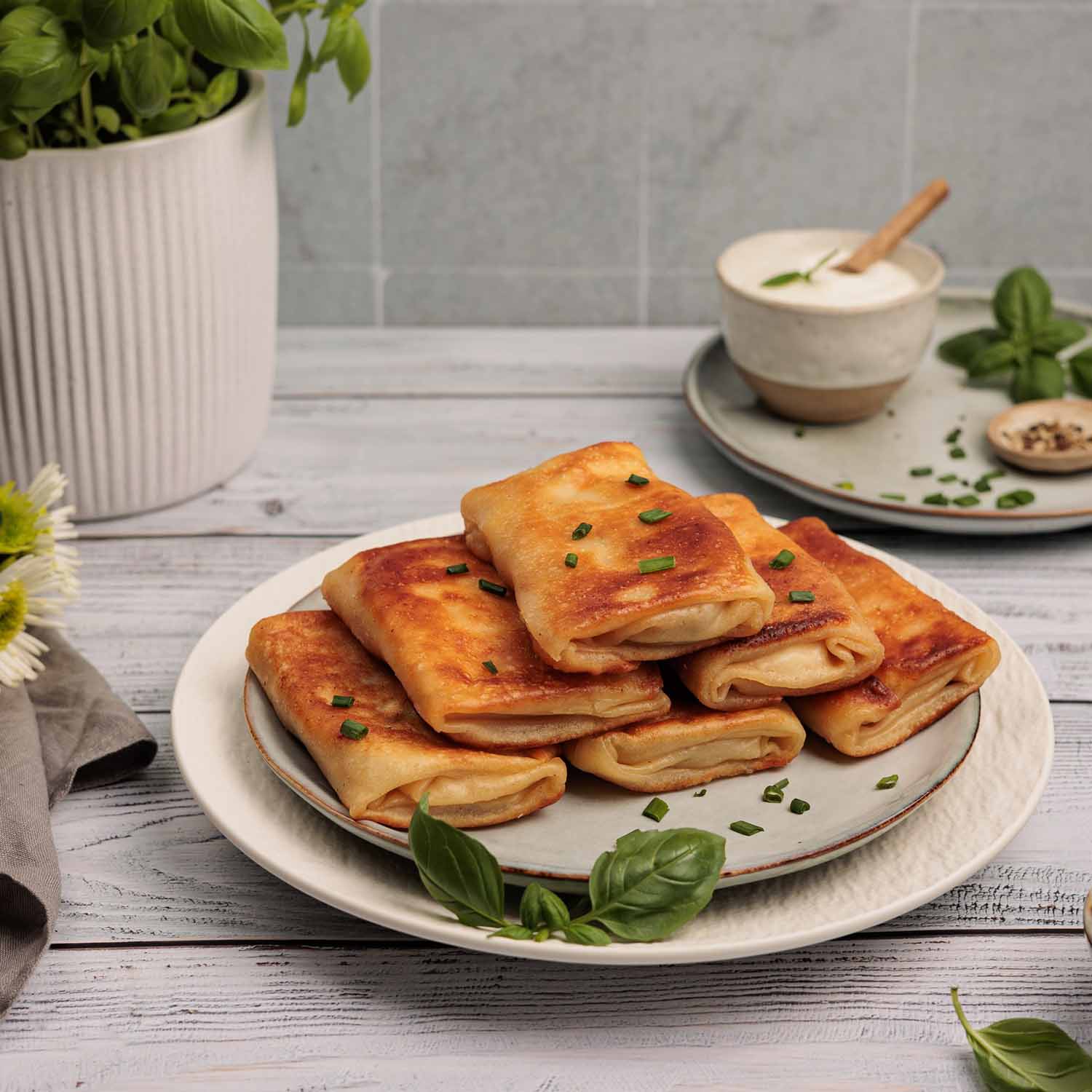 BARIN Pfannkuchen-Set 2+2 mit Fleisch- und Quarkfüllung, tiefgefroren (4 x 520g)